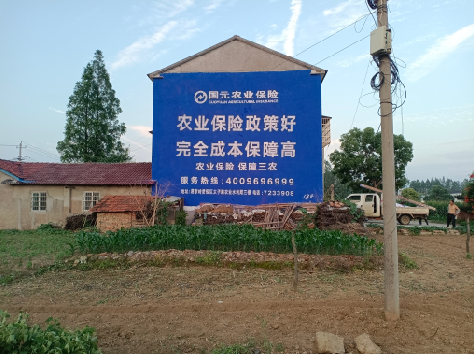 于都墙体广告为何受追捧？